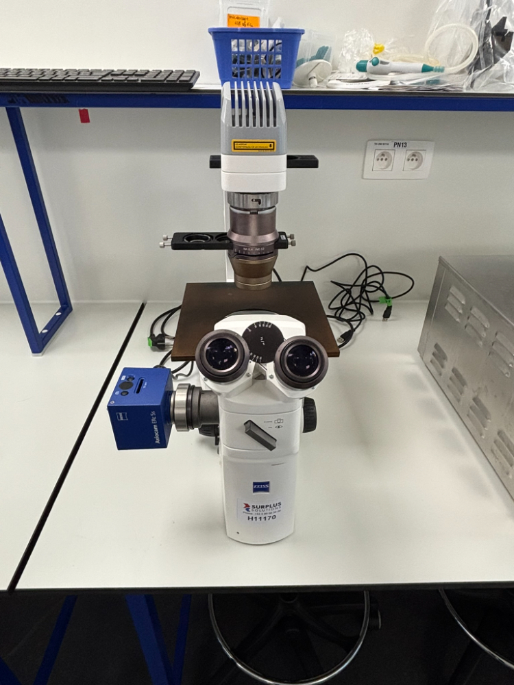 Image of Carl Zeiss Axio AX10 Microscrope